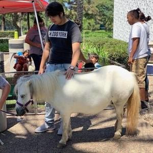 Meet your Posher, Jose manuel